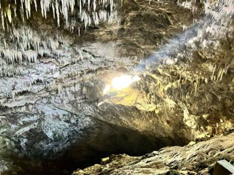 Rawhiti Cave Walk